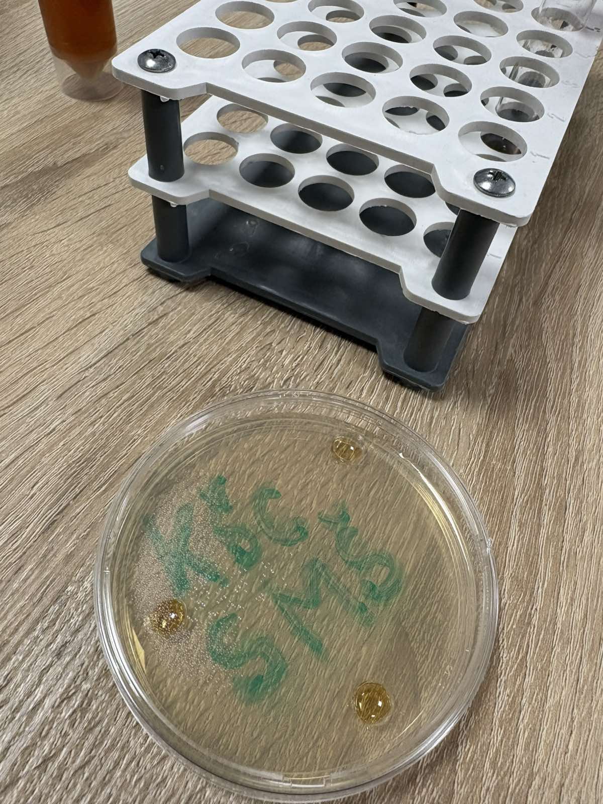 POSJET INTERNACIONALNOM BURCH UNIVERZITETU