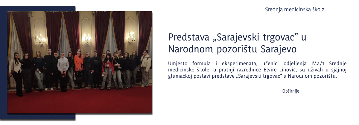 sarajevski_trgovac_nps