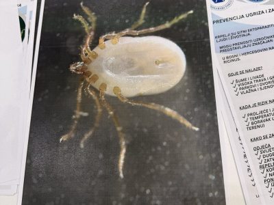 Edukativna radionica na Sajmu knjige- Osnove identifikacije krpelja i njihovjavnozdravstveni značaj