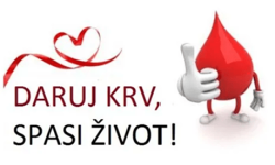 Humanost naših maturanata na djelu