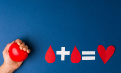 Solidarnost koja spašava: akcija dobrovoljnog darivanja krvi