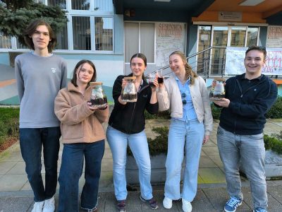 „Hod kroz obnovu: gimnazijalci pod staklom”