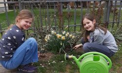 Ekološka sekcija u područnoj školi