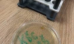 Posjet Internacionalnom Burch Univerzitetu