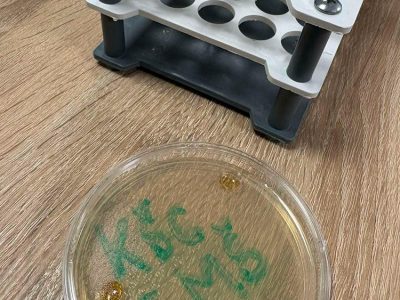 Posjet Internacionalnom Burch Univerzitetu