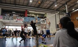 Turnir “Sportom protiv nasilja”